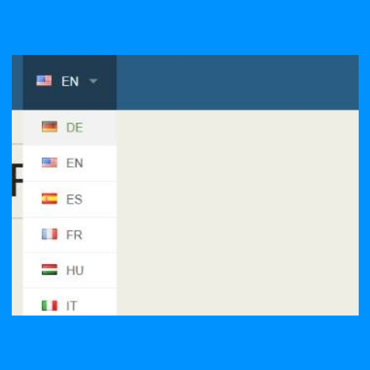 چند زبانه بودن